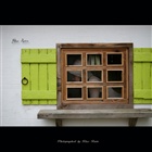 dailyPhoto38